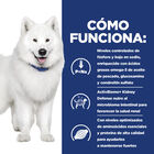 Hill's Prescription Diet kidney + Mobility pienso para perros, , large image number null
